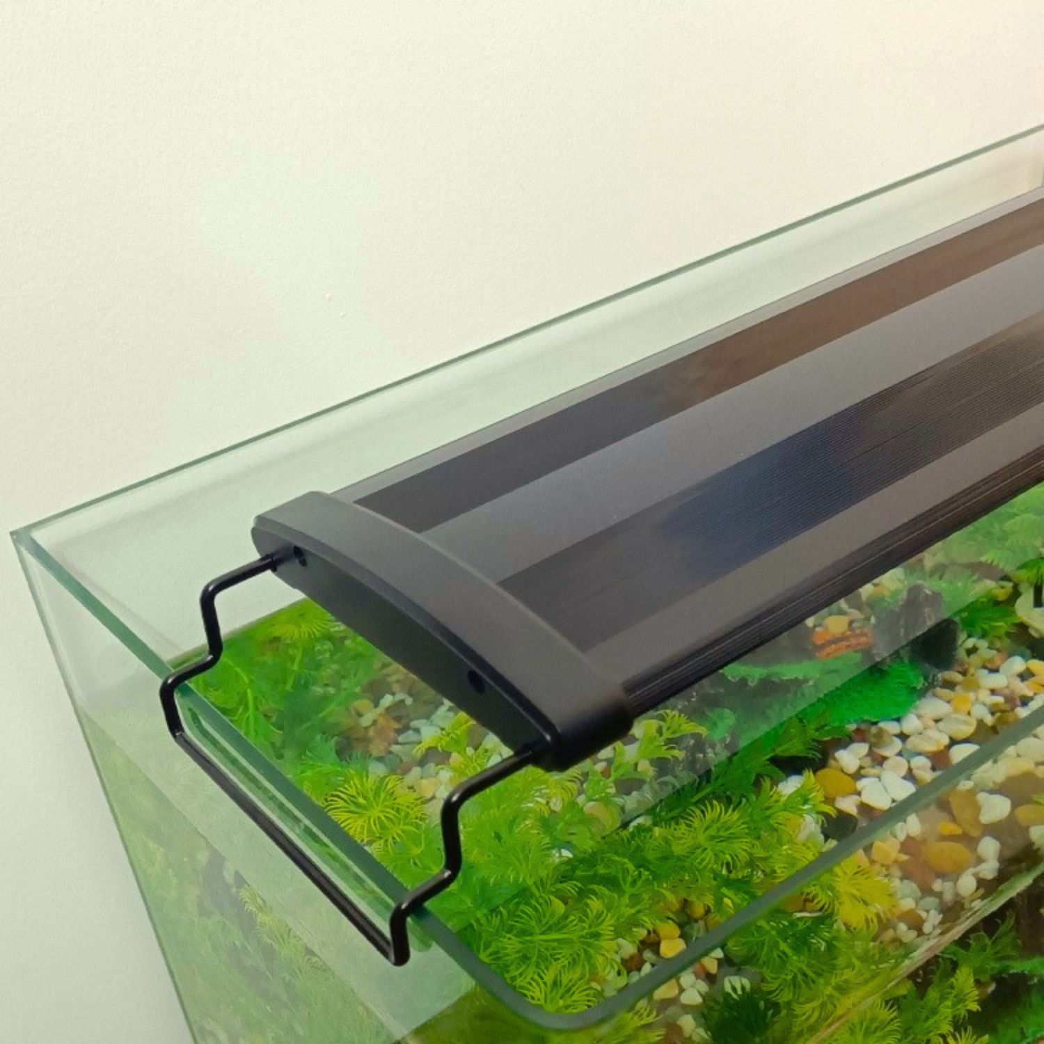 wrgb led strip op aquarium met levendige plantverlichting